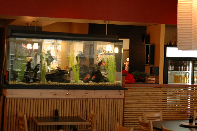 Saltwater Reef And Freshwater Fish Aquarium Pictures