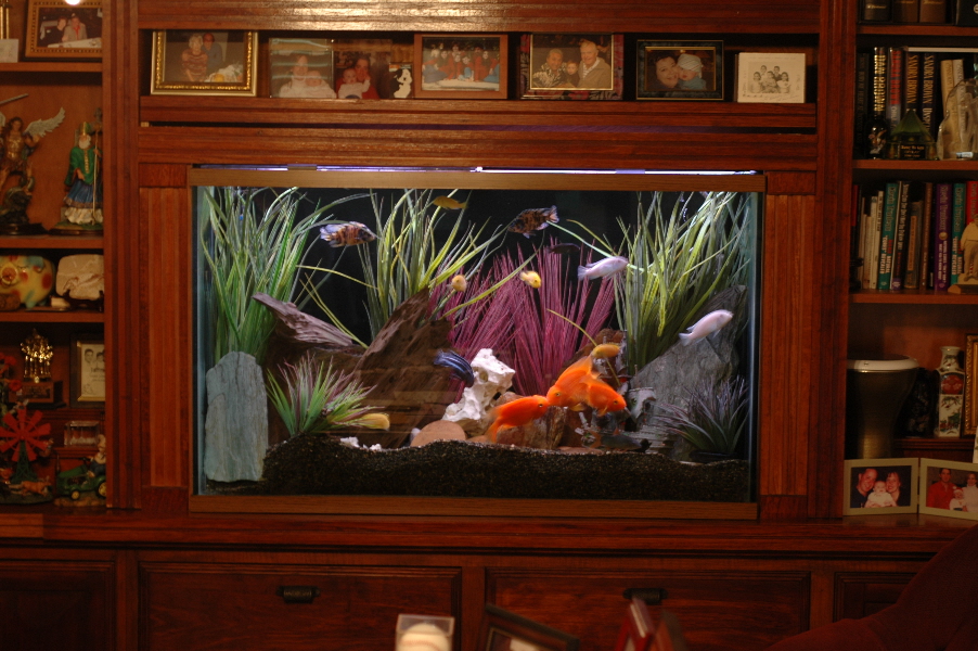 In Wall Vs Stand Alone Tank General, Fish Tank Built In Bookcase